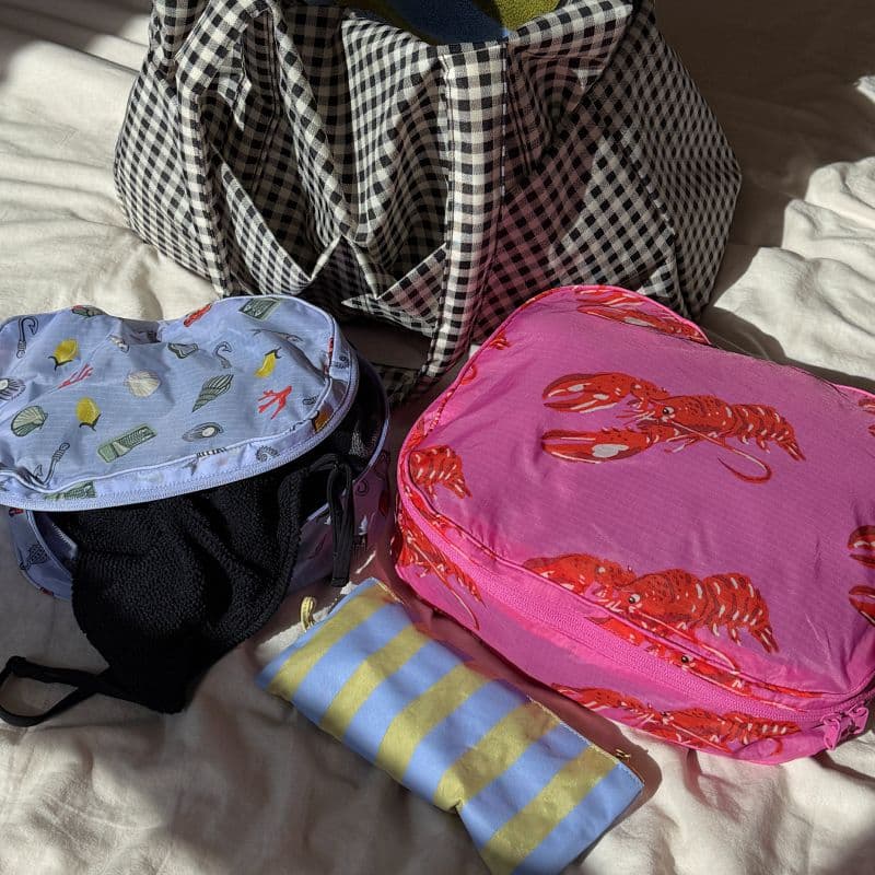 Large Packing Cube Set in Sea Creatures