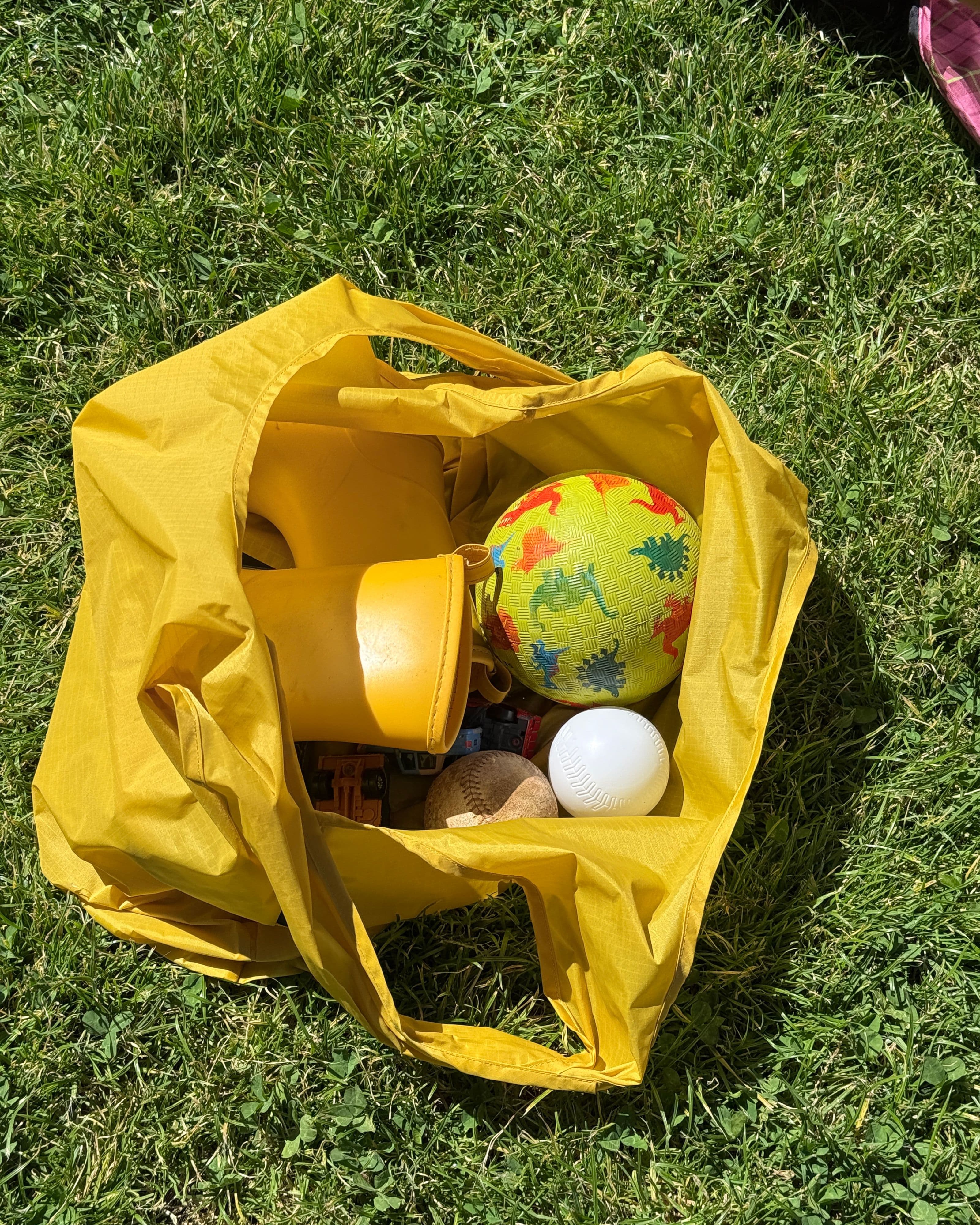 Standard Baggu in Sunflower