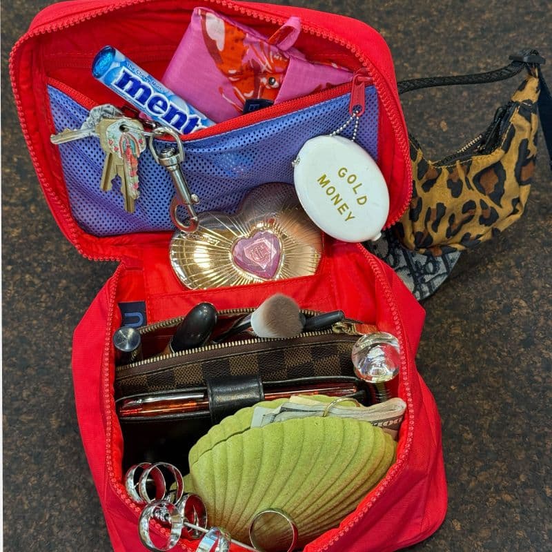 Large Cosmetic Case in Candy Apple
